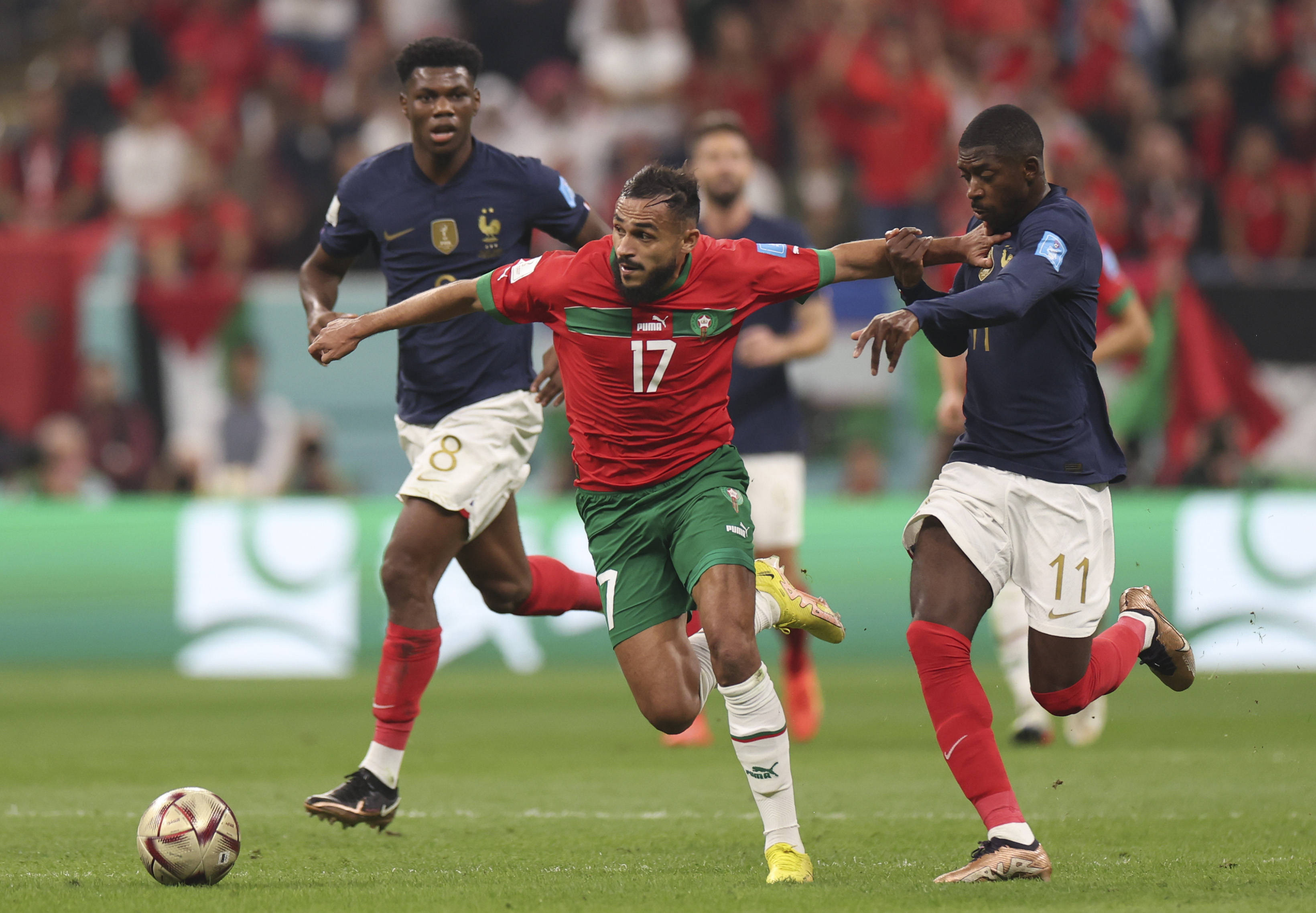 永远不是 永远不是